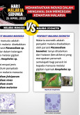 Malaria Manusia VS Malaria Zoonotik